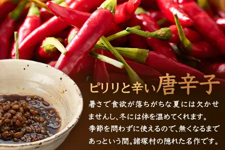 和風調味料 唐辛子もろみ 130g×3本 常温｜唐辛子 トウガラシ 麦麹 麹 醤油 調味料 瓶 瓶詰め こしょう ご飯のお供 冷奴 そうめん ディップ アレンジ もろっこはうす 宮崎県 諸塚村 MO-49