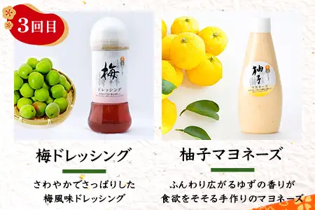 【定期便3か月毎全3回】ドレッシング定期便 常温｜ドレッシング マヨネーズ ソース ノンオイルドレッシング 調味料 椎茸 胡麻ドレッシング 柚子 梅 サラダ もろっこはうす 宮崎県 諸塚村 MO-51