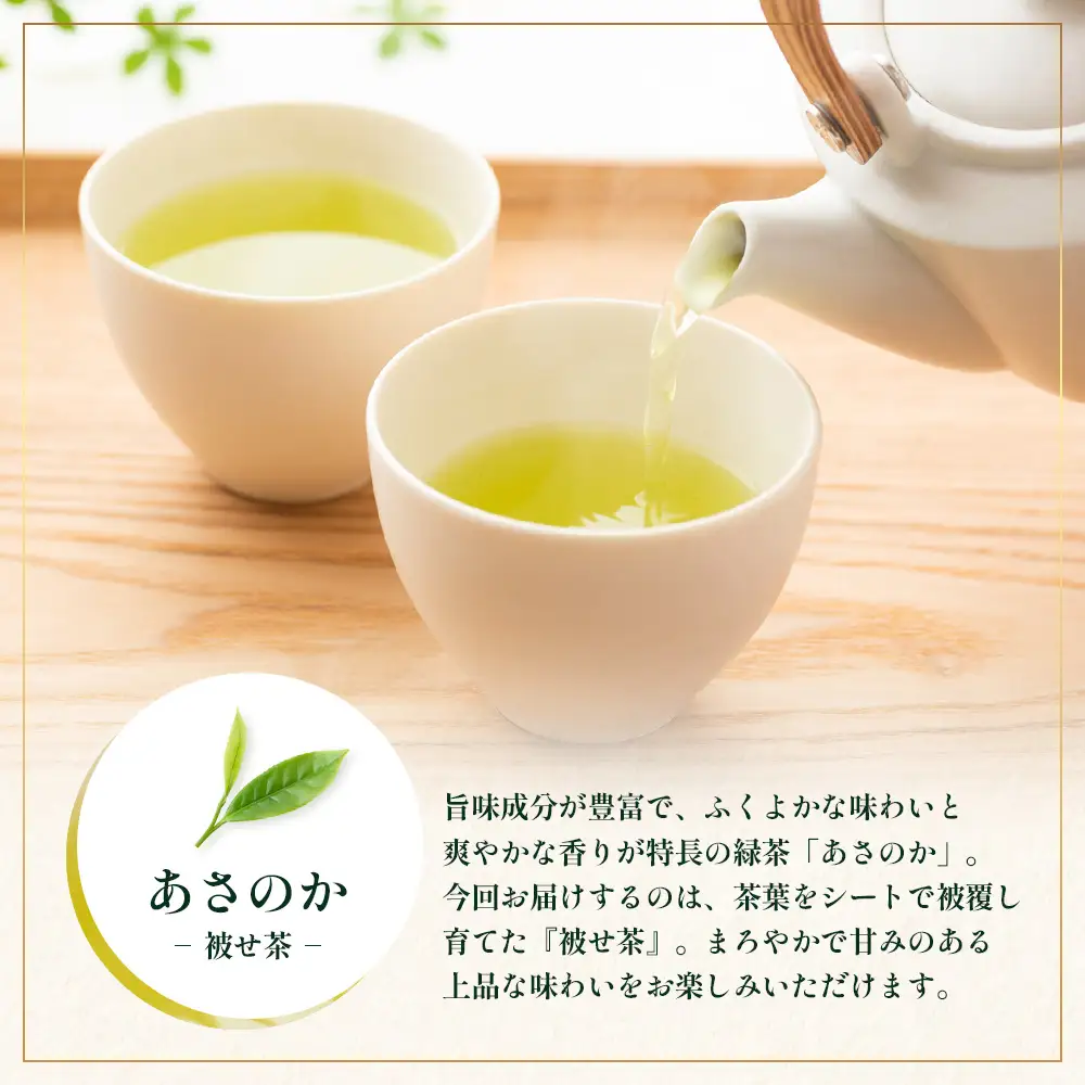 【2026年摘みたて！】ナナ茶 新茶贅沢2種セット 被せ深蒸し茶 さえみどり（80g×1P） ＆ 被せ茶 あさのか（80g×1P）RS-12｜お茶 茶 茶葉 お茶の葉 被せ茶 玉露仕立て 緑茶 高級緑茶 高級 日本茶 鹿児島茶 国産 おしゃれ ブレンド茶 シングルオリジン 被覆栽培 鹿児島県 南大隅町 株式会社Re-Shine