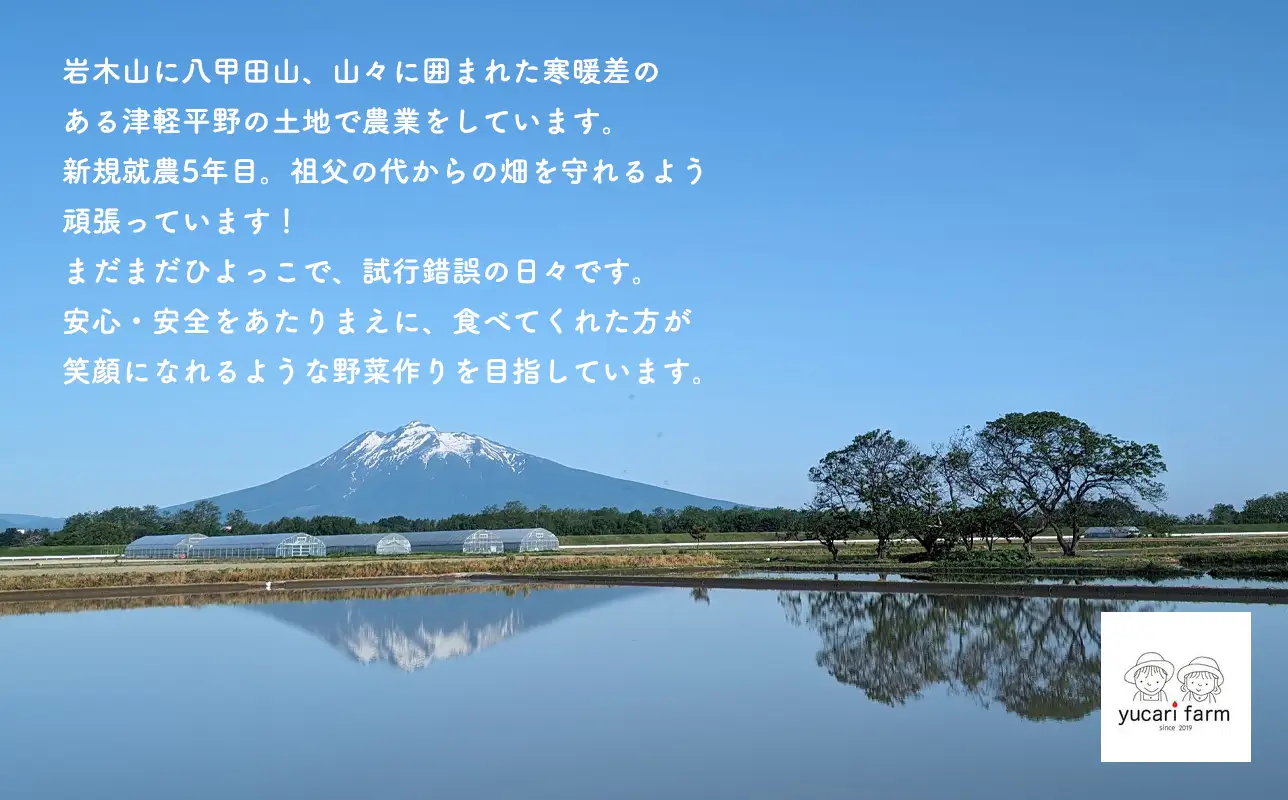 無添加 ミニトマトジュース 1L×3本セット