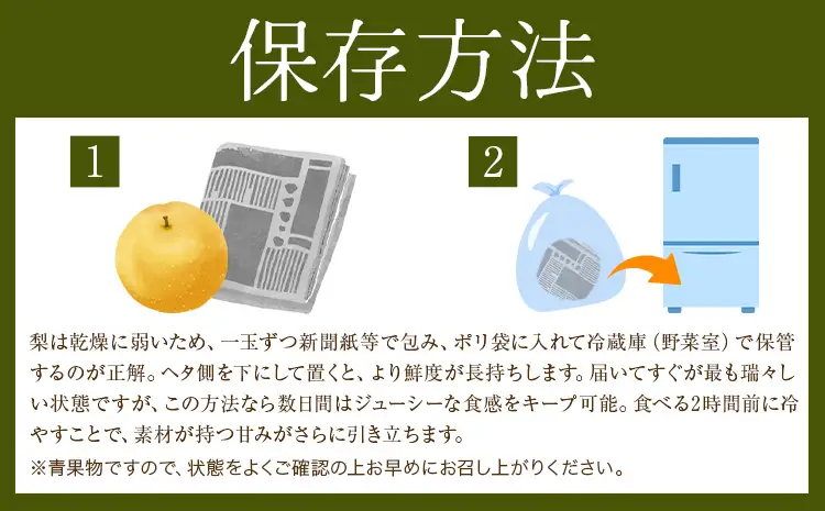 先行予約 旬の梨 約2kg 梨