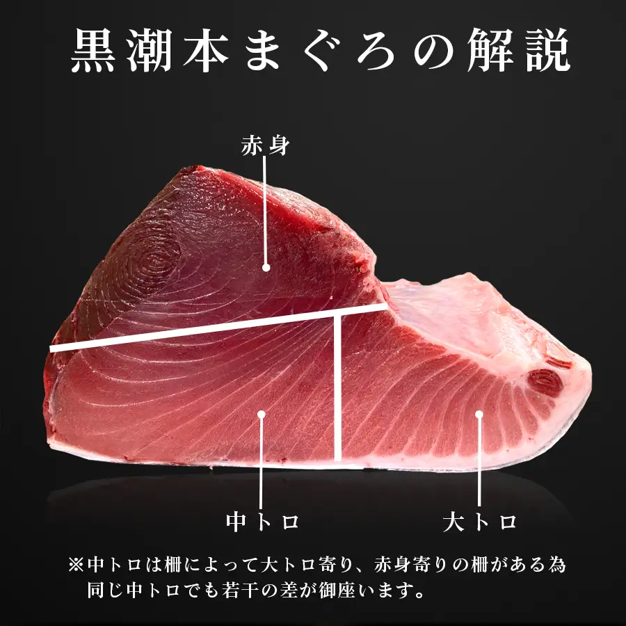 【父の日】6月20日お届け限定 本マグロ 中トロ・赤身 食べ比べ 日本一