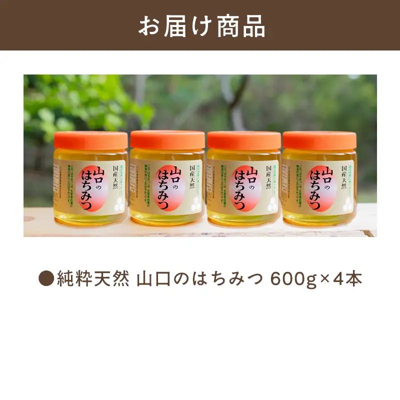 純粋天然 山口のはちみつ600g 4本
