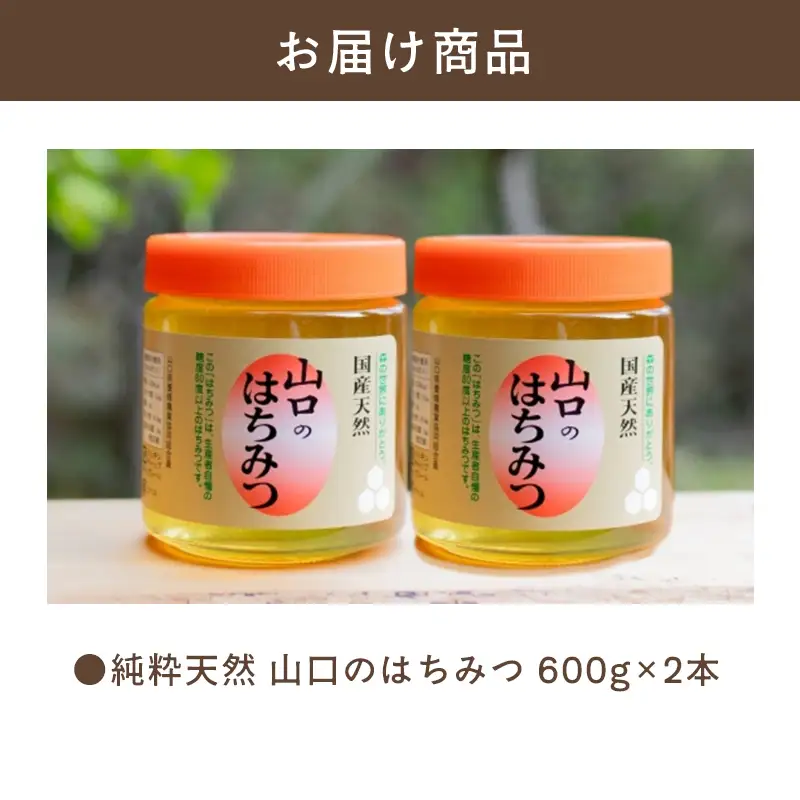 純粋天然 山口のはちみつ600g 2本