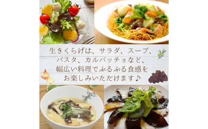 鳥取県産有機生あらげきくらげ（6パック入）レシピ付_T2600417