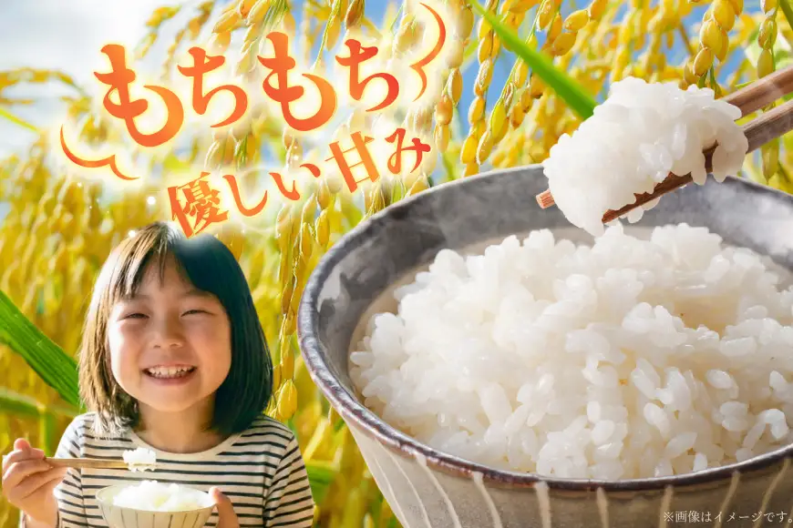 米 優秀金賞 ゆめぴりか 5kg 6回 定期便 総計30kg [笹田ファーム 北海道 剣淵町 14656374]