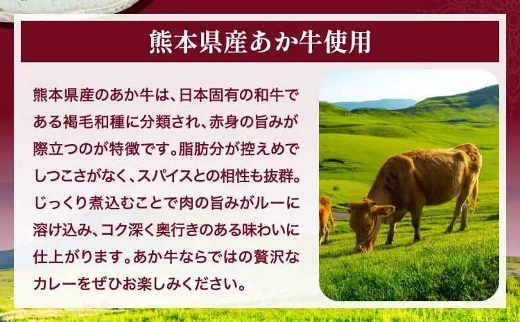熊本県産あか牛使用 くまもとあか牛 ビーフカレー 4袋