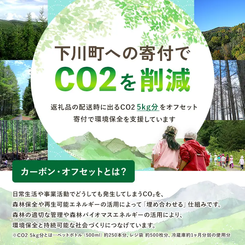 あべ養鶏場のえっぐシュー ８個セット お菓子 おかし デザート スイーツ 洋菓子 故郷 ふるさと 納税 北海道産 北海道 下川町  F4G-0350