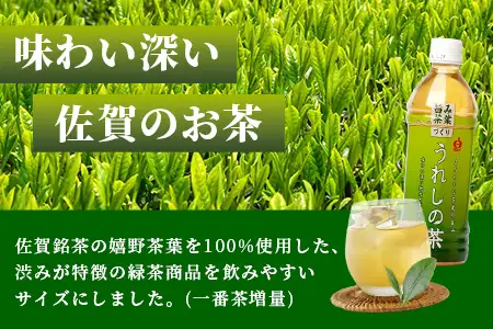 工場直送！うれしの茶 500ml×24本入 《6回 定期便》箱買い セット お茶 飲料 緑茶 飲み切りサイズ うれしの 嬉野茶 ペットボトル 24本入り 500ml ストック ギフト 贈り物 贈答 お中元 お歳暮 季節の変わり目 旬 備蓄 備え 佐賀県 鹿島市 J-35