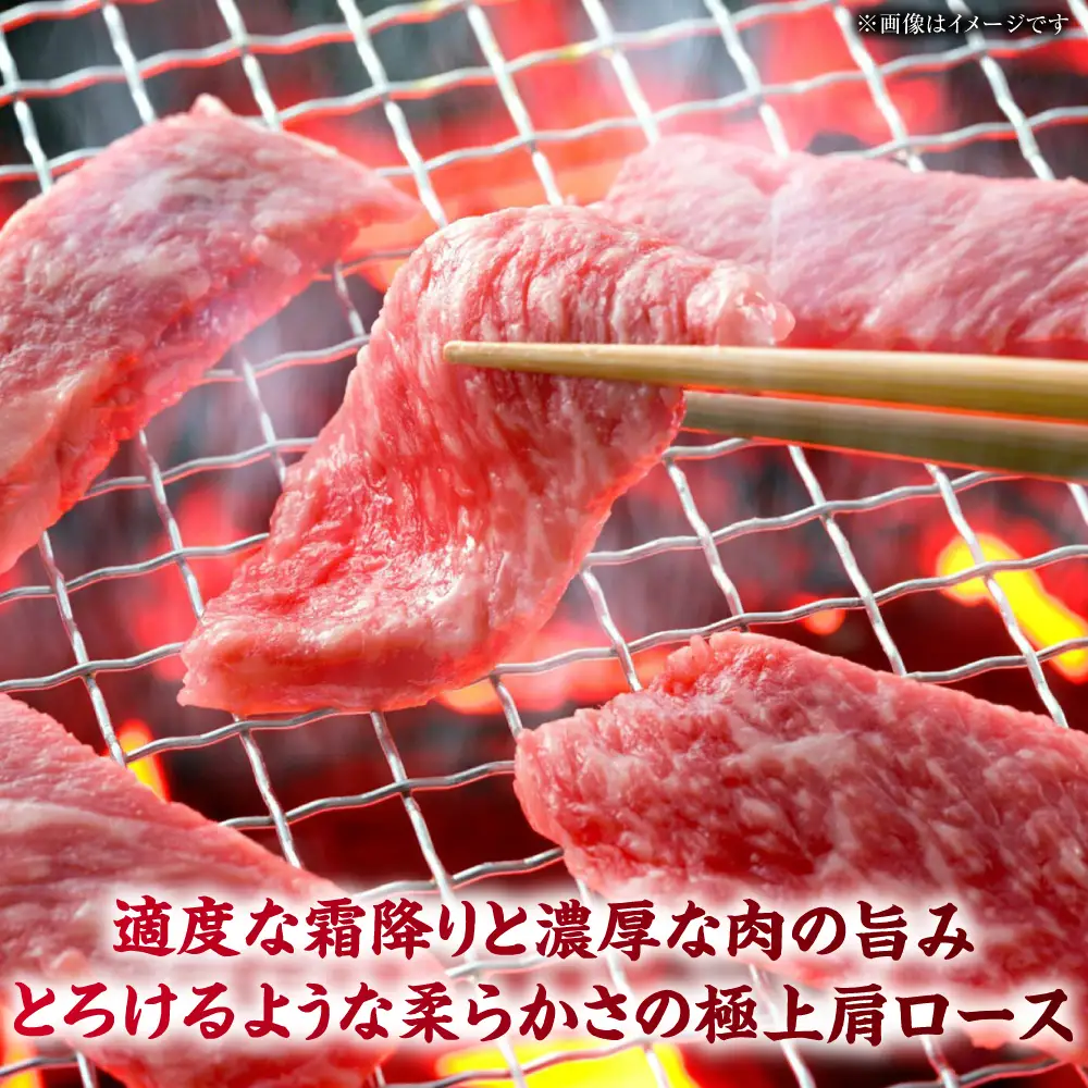 やまが和牛 上焼き肉用 1kg 黒毛和牛 和牛 牛肉 お肉 肉 焼肉 【鹿本農業協同組合】[ZAG016]