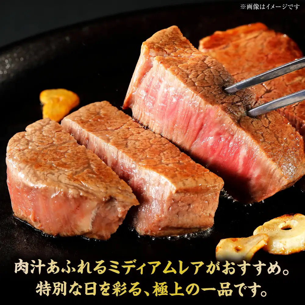 やまが和牛 ステーキ ヒレ 約200ｇ×3枚 黒毛和牛 和牛 牛肉 お肉 肉 【鹿本農業協同組合】[ZAG021]