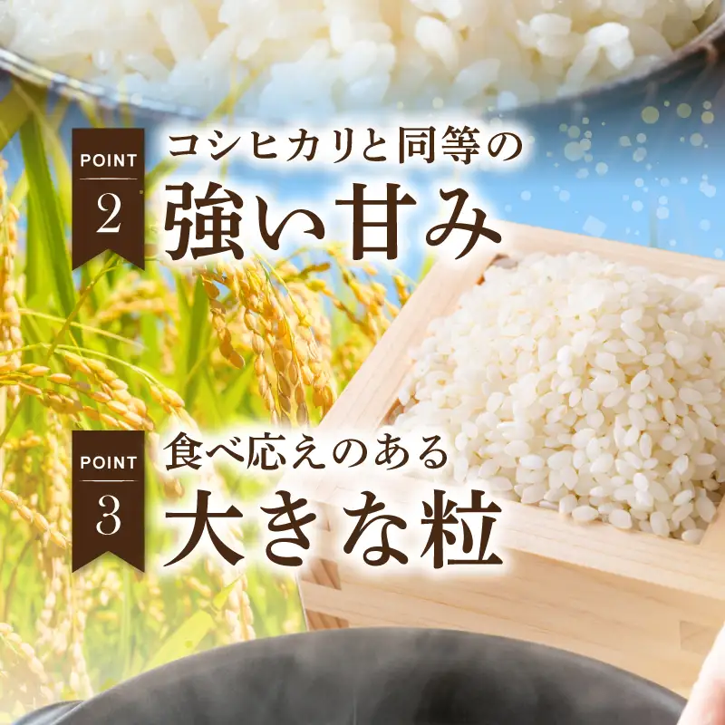 S050-012-T03_【定期便3回】令和8年産鏡さんちのお米「にじのきらめき」精米5kg