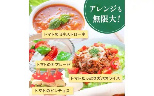 【先行予約】 和歌山県由良町産 ゆらミニトマト 1.5kg×1箱※2025年10月中旬頃から順次発送予定(お届け日指定不可) / トマト ハウス栽培 とまと 野菜 産地直送 新鮮 由良町 和歌山【ktym010】