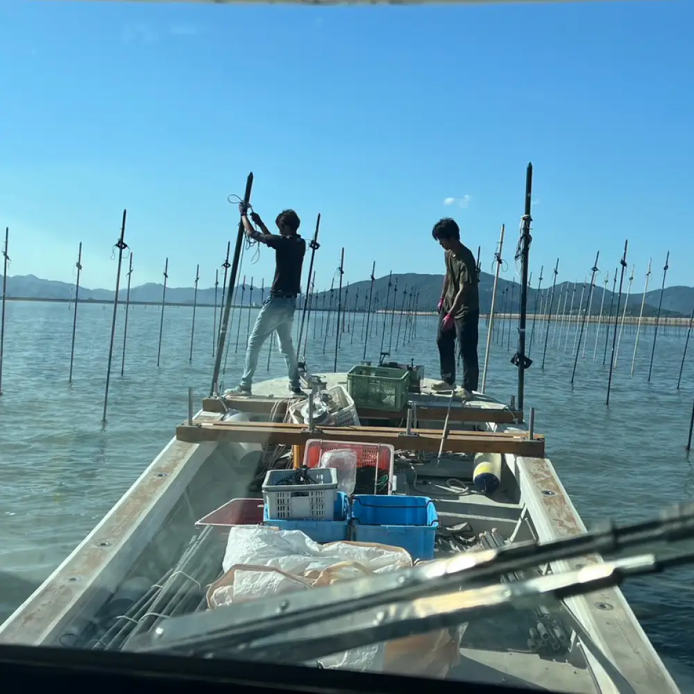 【初摘み】 海苔5点セット （焼き海苔・味付け海苔・塩海苔・板海苔）【直売所にじ】[IDO018]