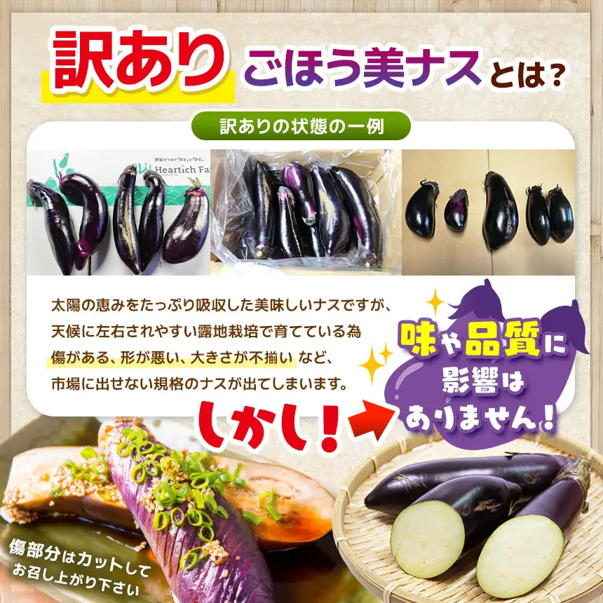 【定期便6回】農家さん応援！訳ありごほう美ナス 約5kg