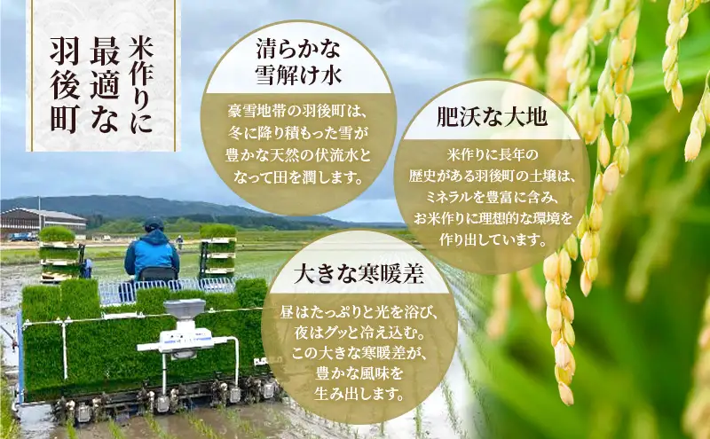 新米 先行予約［令和8年産］定期便 秋田県産 あきたこまち 10kg (5kg×2袋) 全6回 毎月お届け 羽後町産 [藤原商店]【 米 お米 白米 精米 あきたこまち アキタコマチ 定期 定期便 美味しい 秋田 羽後 】