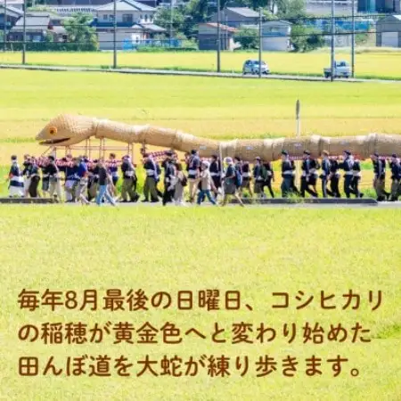 【返礼品なし】NIPPON 防災資産認定 えちごせきかわ大したもん蛇まつりを応援 1口5,000円