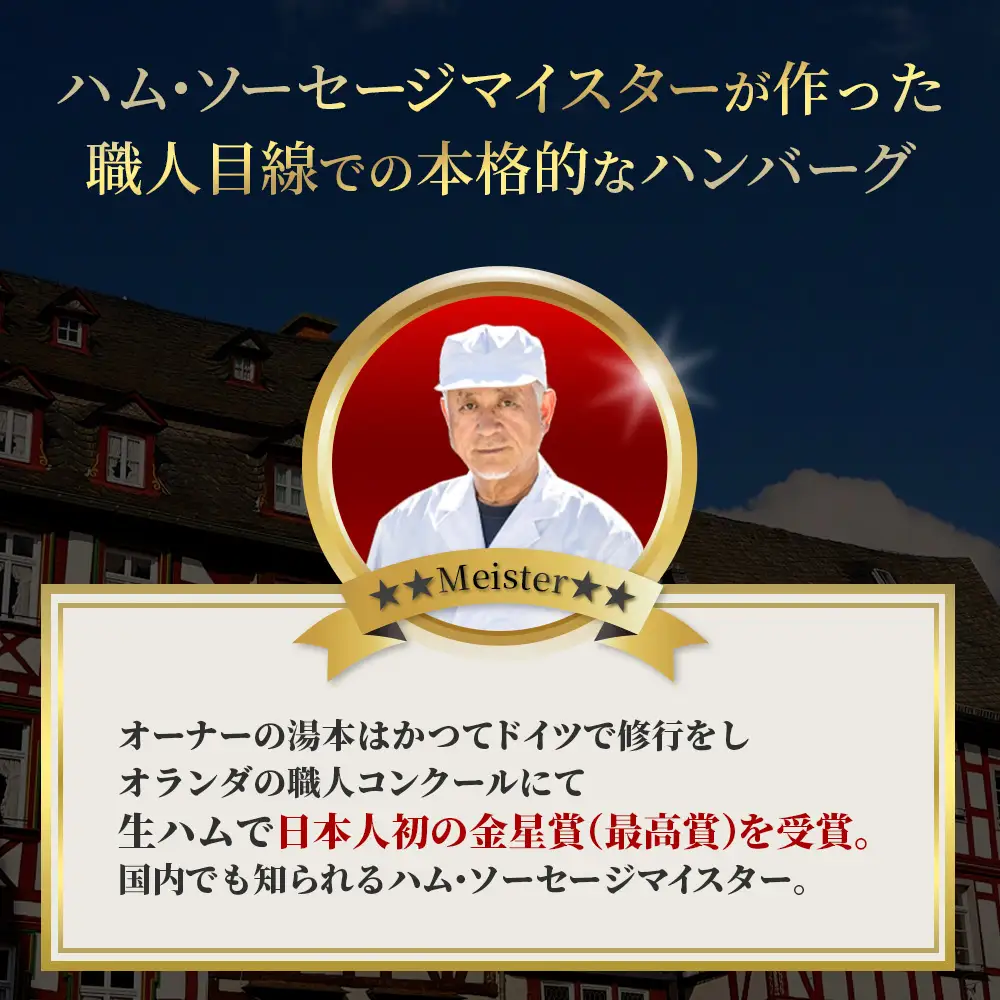 国産豚 ハンバーグ 10個セット