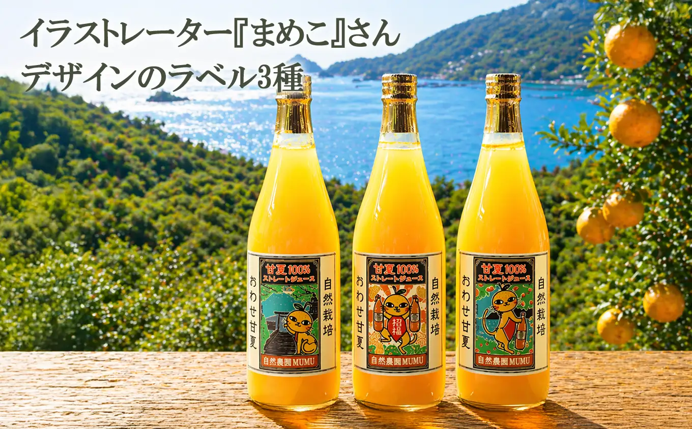 【期間限定】 訳あり / 甘夏ジュース 果汁100％ 720ml×3本 無添加 ストレート 自然栽培 尾鷲 甘夏 あまなつ アマナツ 果物 柑橘 ジュース　NA-1