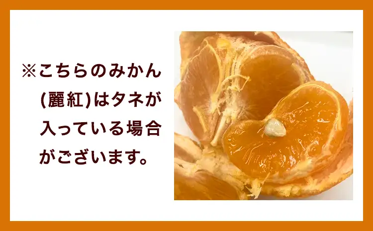 みかん 訳あり 麗紅 5kg 麗紅