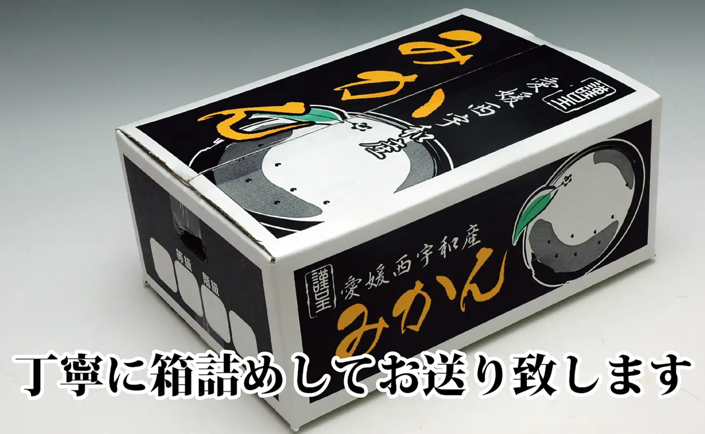 M、Sサイズでお届け・濃厚な味わい! 井上農園「南柑20号」約5kg 【C39-12】【1245424】 YWTF005
