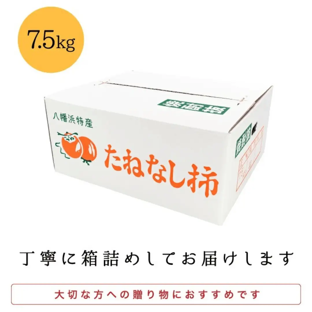 国安さんちのひらたねなし柿 7.5kg【F20-27】【1323619】 YWTI022