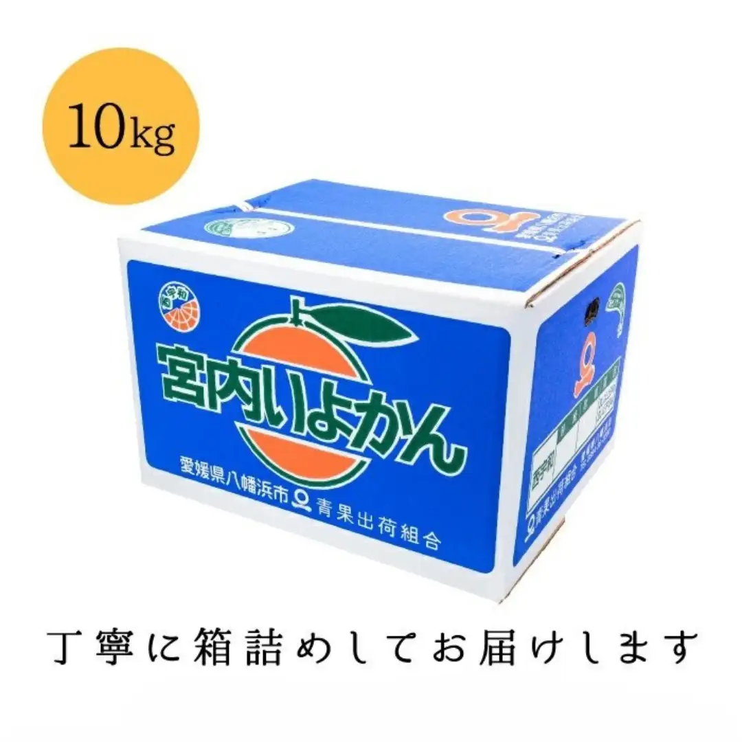 【爽やか香りと柔らかジューシーな果肉】愛媛八幡浜産 宮内伊予柑 10kg【D20-6】【1094591】 YWTI006