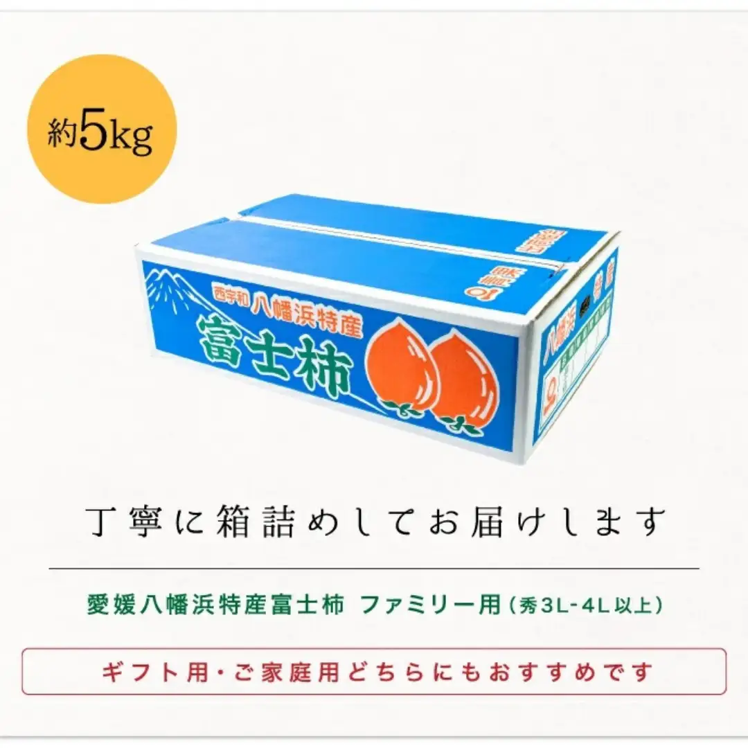 《八幡浜特産 国内最大級の 柿》 富士柿 5kg 種無し【D20-21】【1094600】 YWTI017