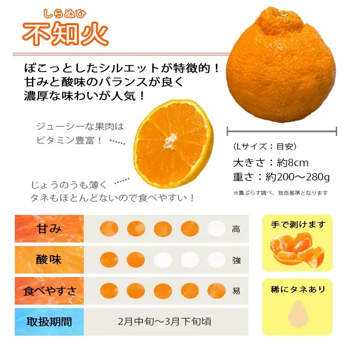 【先行受付】《愛媛・八幡浜柑橘詰合せ》よくばり2箱セット(せとか・しらぬひの2品種)【C28-38】【1504074】 YWTN026