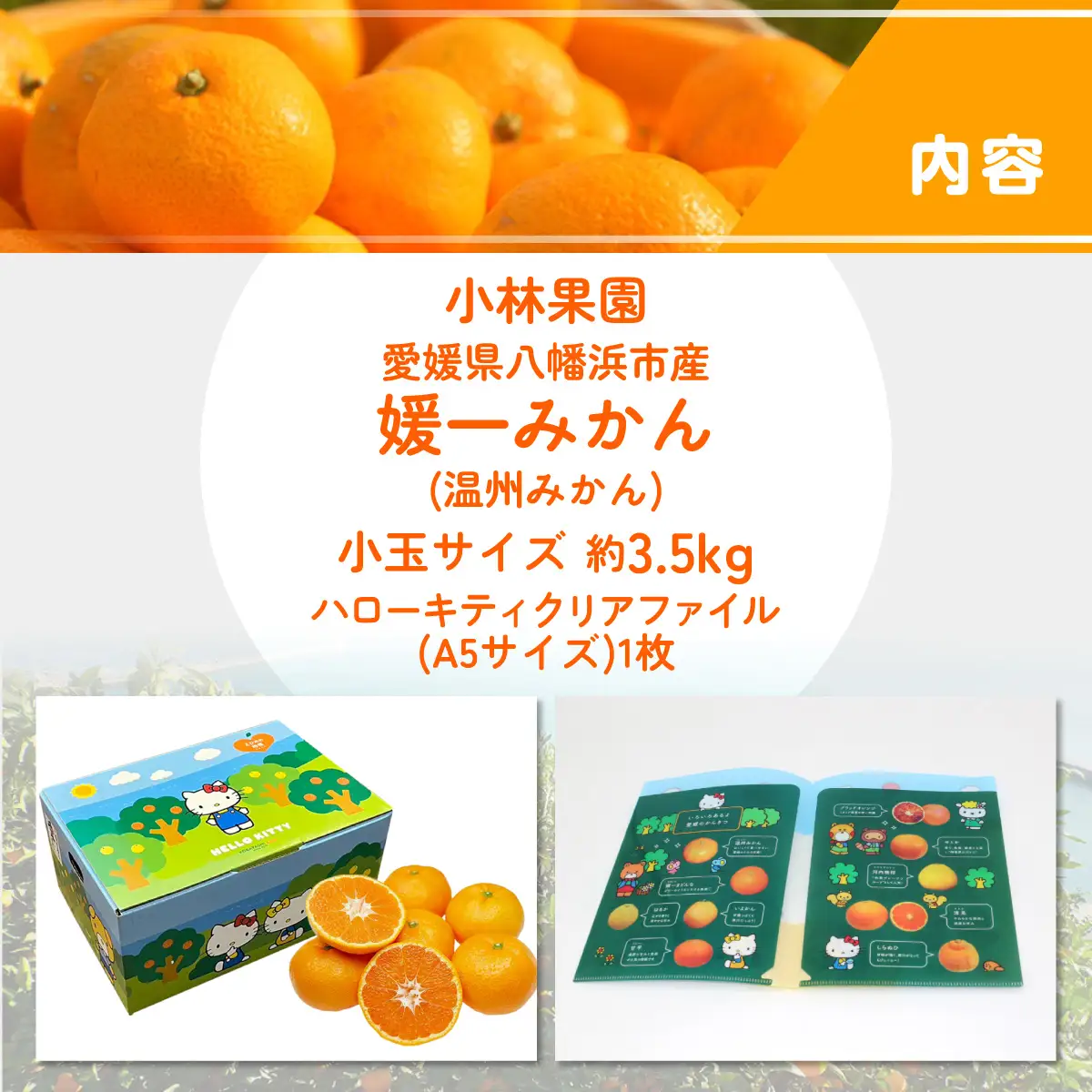 【先行受付】厳選　甘ーい小玉!西宇和みかん(ハローキティパッケージ)約3.5kg入【C24-7】【1121015】 YWTAD004