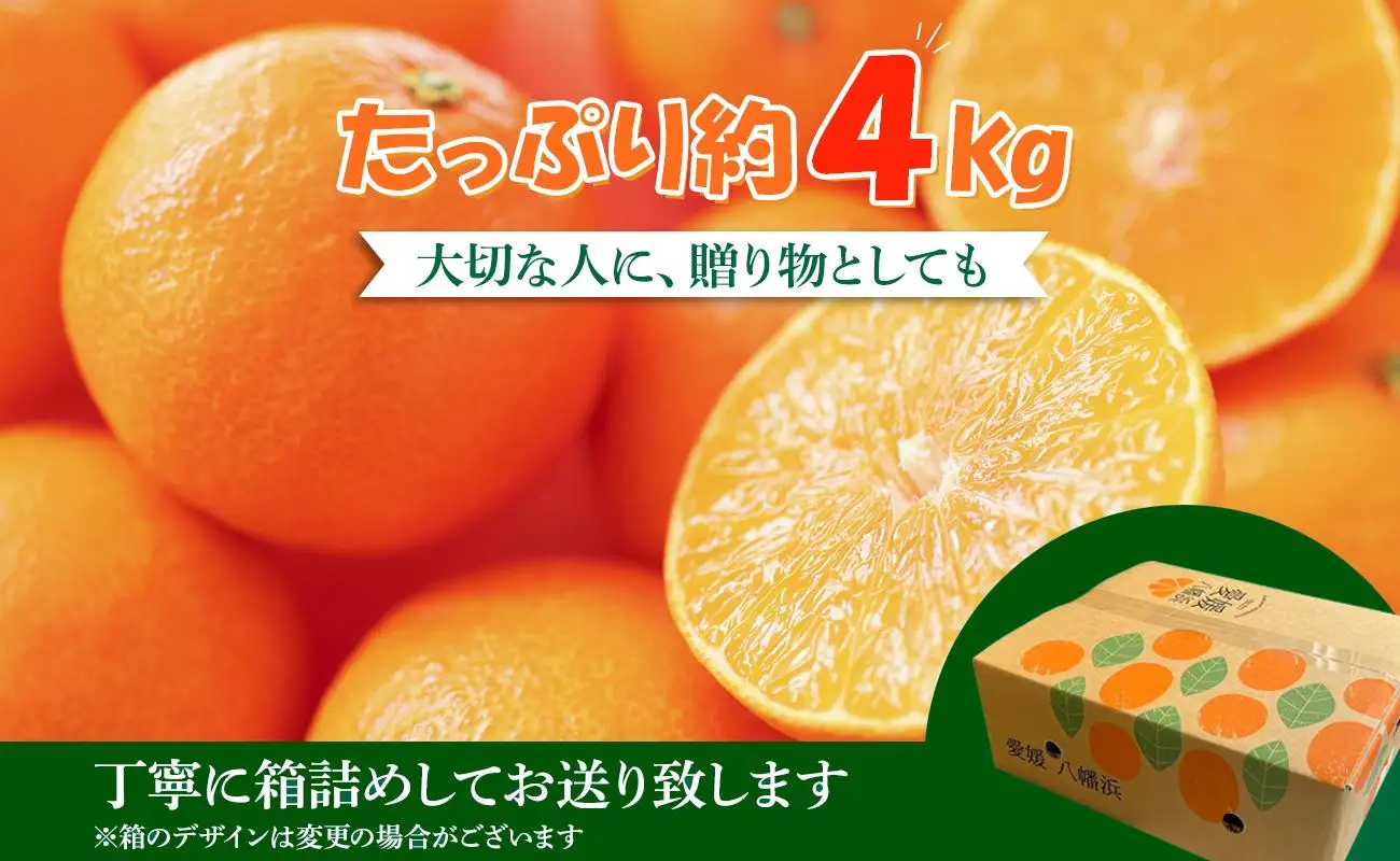 2026年11月発送開始　ぷるぷる新食感「マドンナ」約4kg　【D39-31】【1149494】 YWTF013