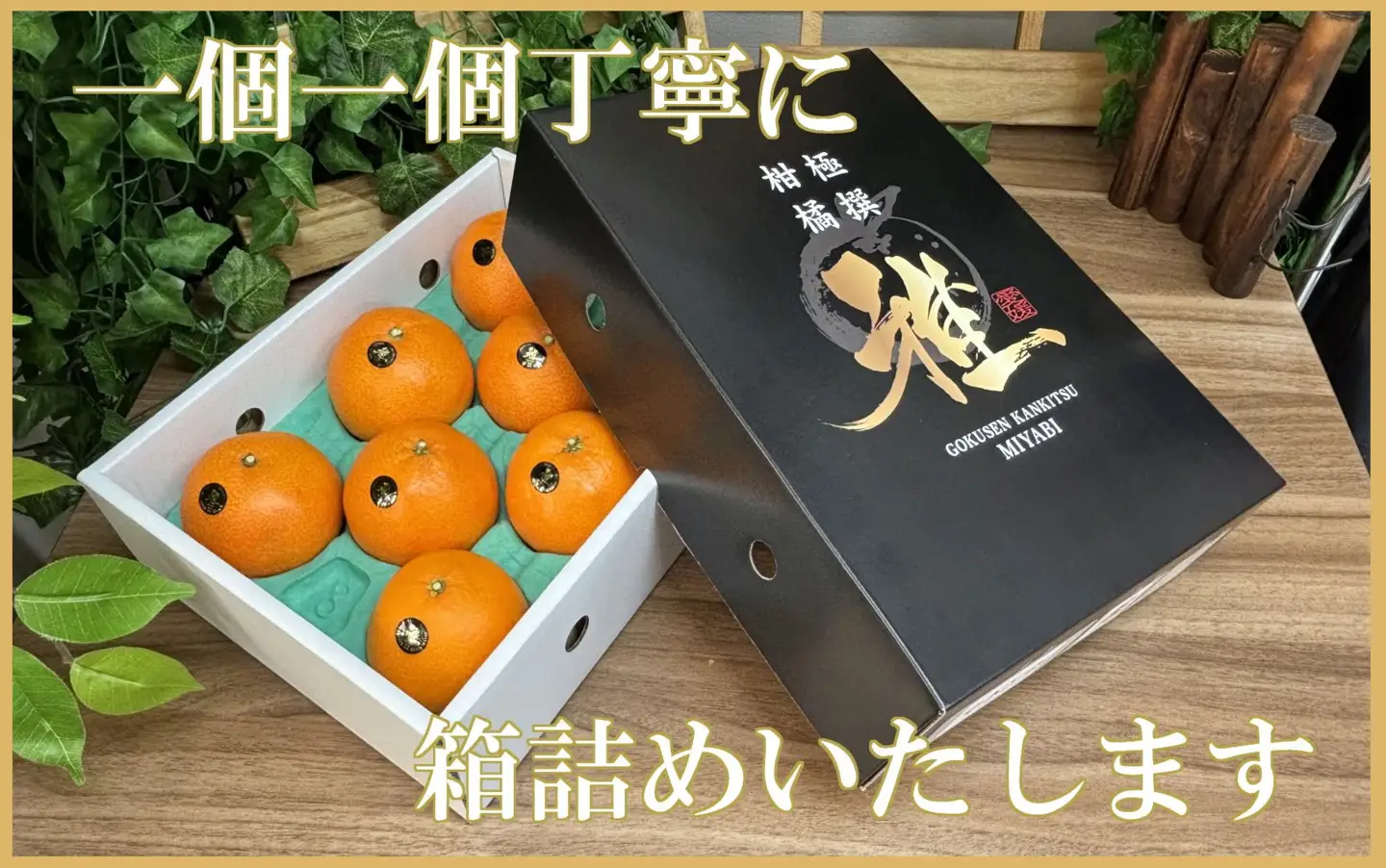 極撰柑橘【雅】光センサー合格品・柑橘の大トロ「 せとか 」約2キロ　【C39-47】【配送不可地域：離島】【1380610】 YWTF024