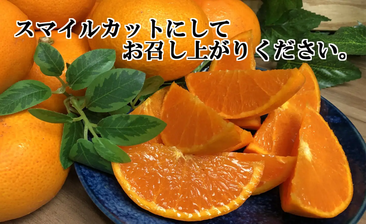 2026年2月発送開始　柑橘の大トロ!「せとか」約4.5キロ限定300個【訳あり品】【D39-52】【1464339】 YWTF027