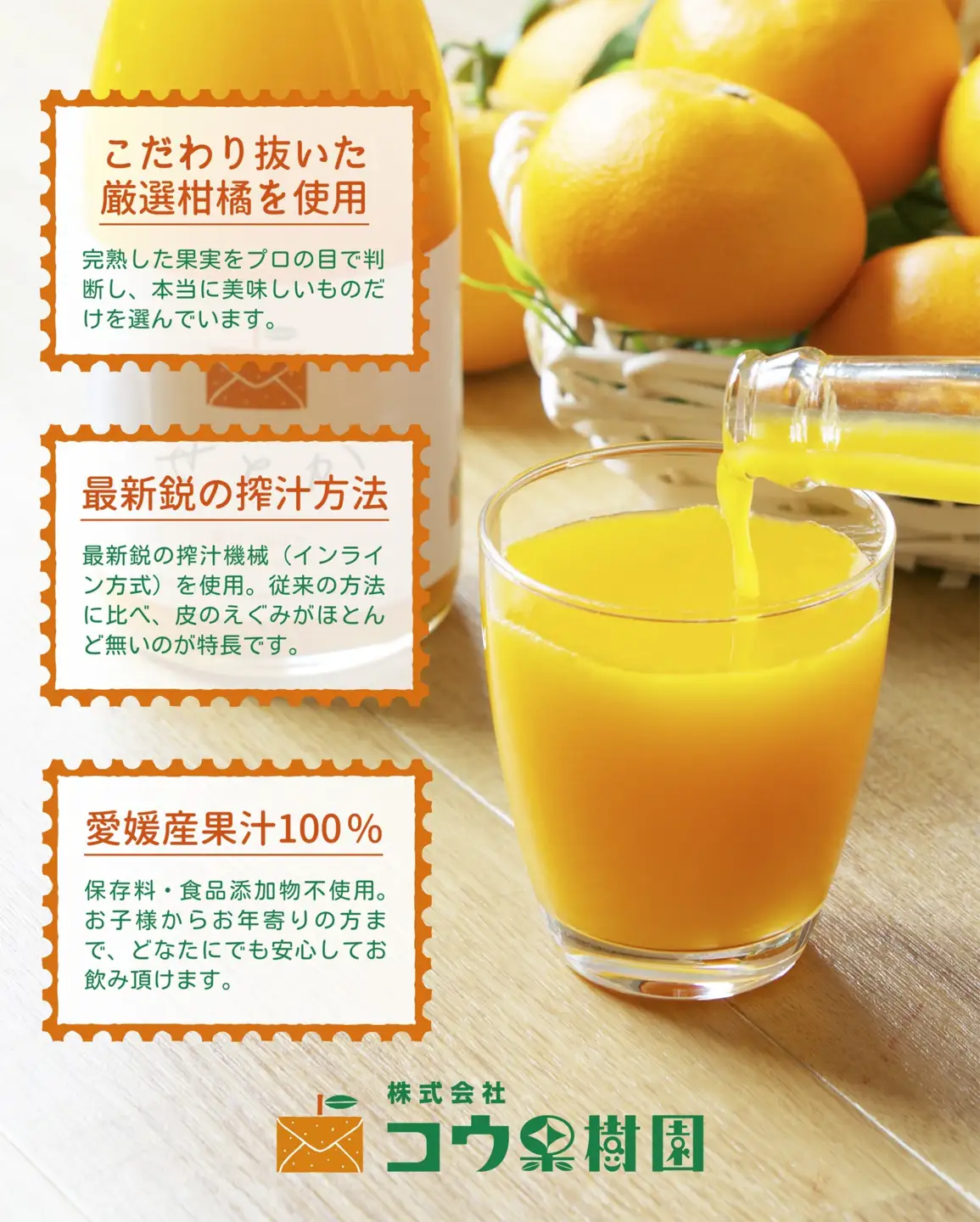 【発送月固定定期便】コウ果樹園の旬の柑橘定期便(11月-10月)【H33-41】全12回【4052190】 YWTG023