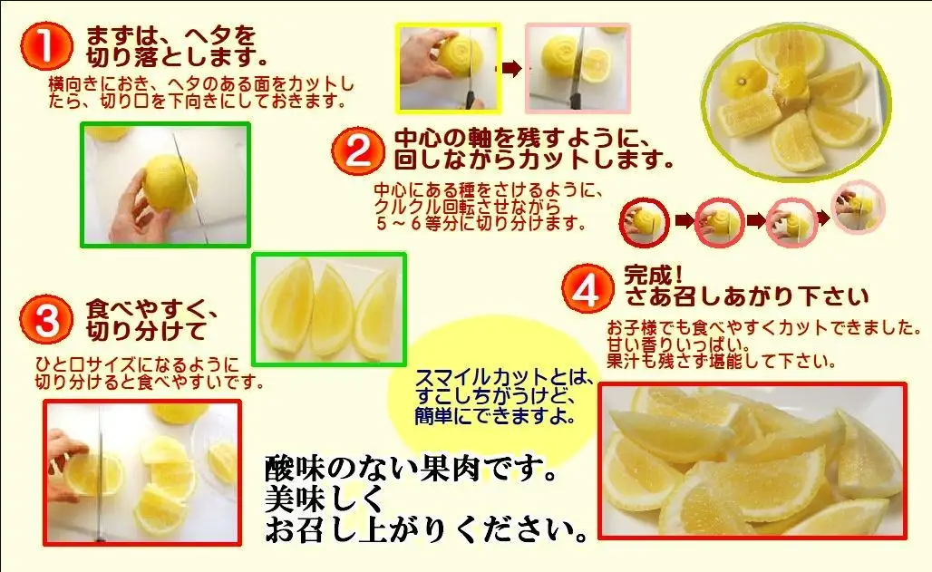2027年2月発送開始　ジューシーな甘さ!「はるか」約5キロ　【C39-7】【配送不可地域：離島】【1280653】 YWTF002