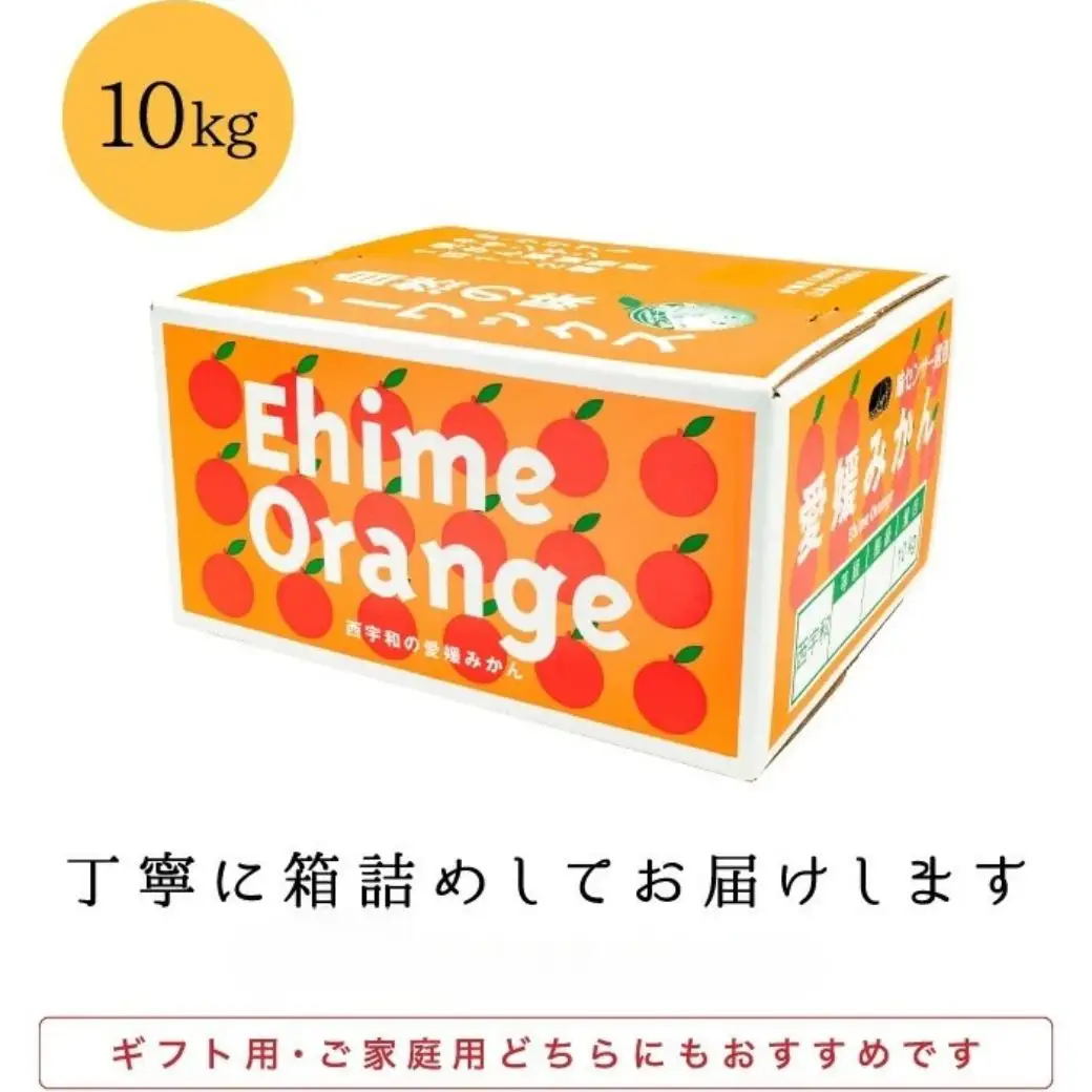 【創業85年 親子4代 愛媛みかん 一筋】愛媛八幡浜産 極早生みかん 10kg【F20-44】【1594909】 YWTI039