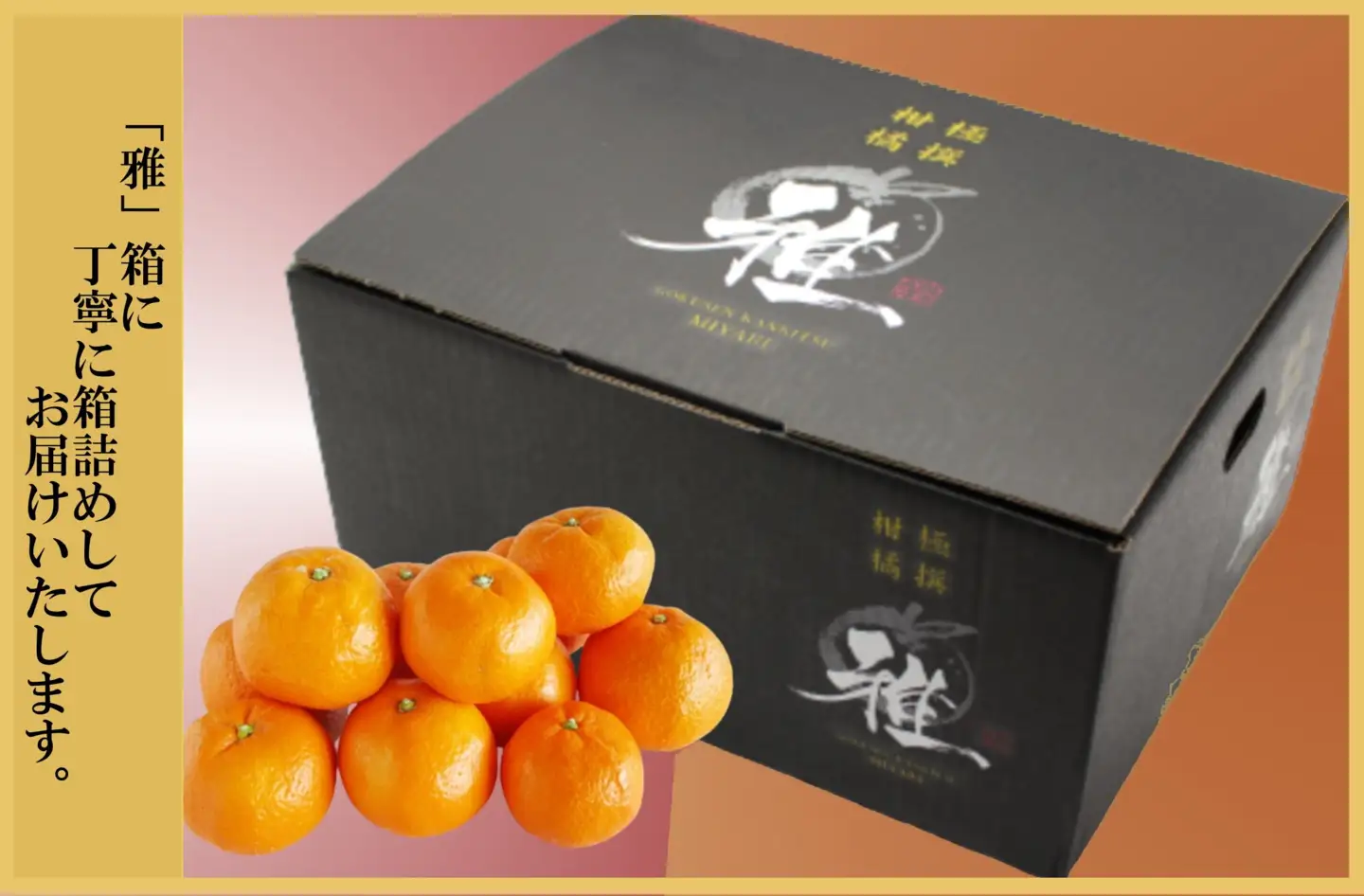 極撰柑橘【雅】光センサー合格品　甘さ際立つ「小玉温州みかん」約4.5キロ【C39-64】【配送不可地域：離島】【1616826】 YWTF039