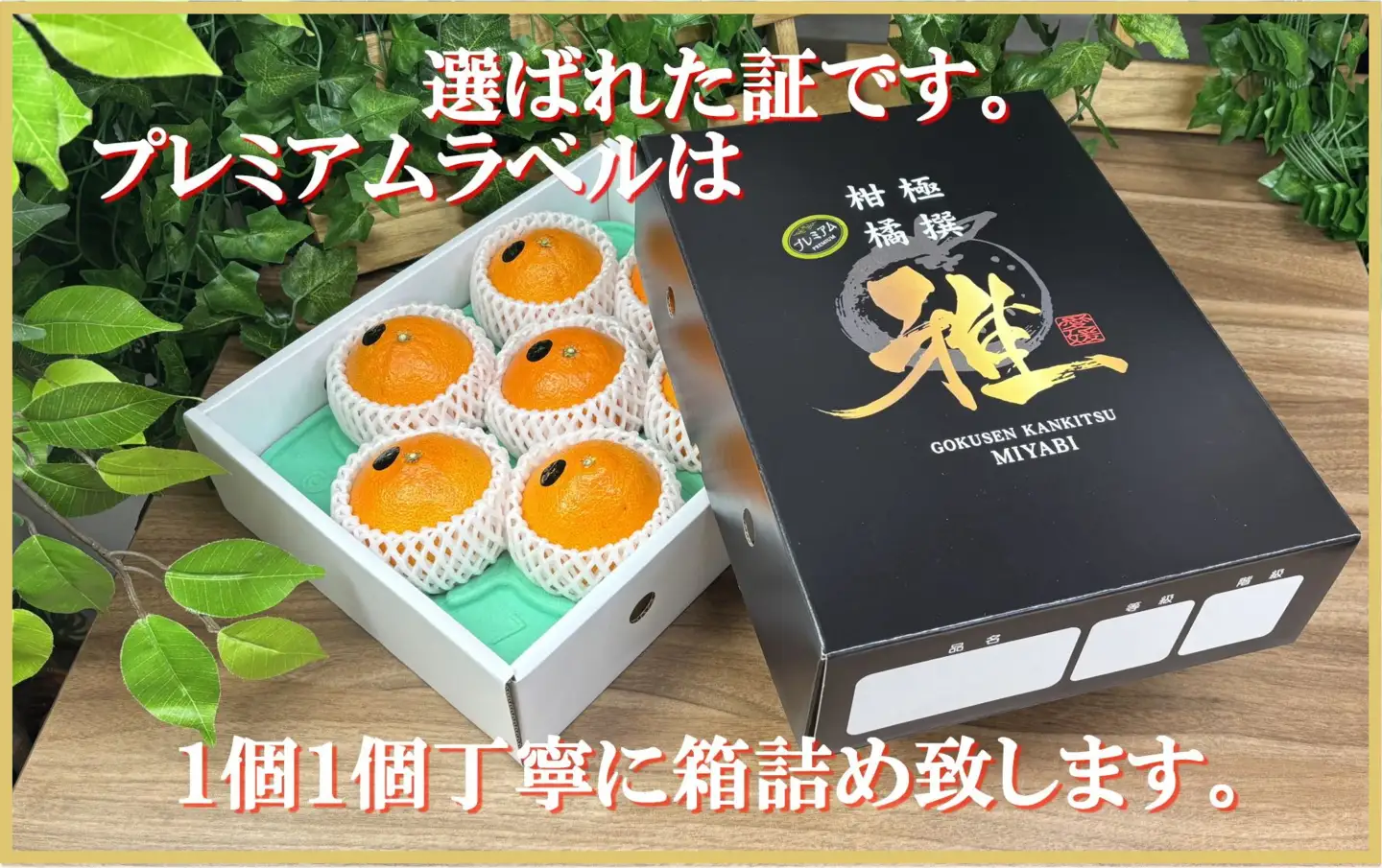 極撰柑橘【雅プレミアム】糖度保証・光センサー合格品「 せとか 」約3キロ【D39-69】【配送不可地域：離島】【1620365】 YWTF044