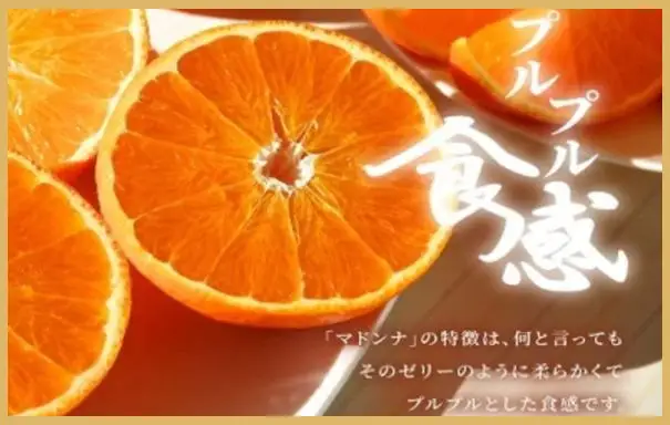 極撰柑橘 【雅】光センサー 合格品・プルプル食感「 マドンナ 」 約3キロ【E39-70】【配送不可地域：離島】【1620366】 YWTF045