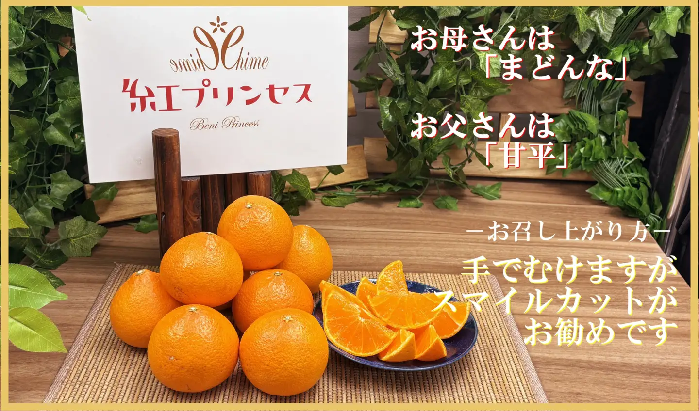 柑橘界のサラブレット!!「まどんな」と「甘平」を親に持つ!!　「紅プリンセス」3キロ【F39-77】【配送不可地域：離島】【1621866】 YWTF052