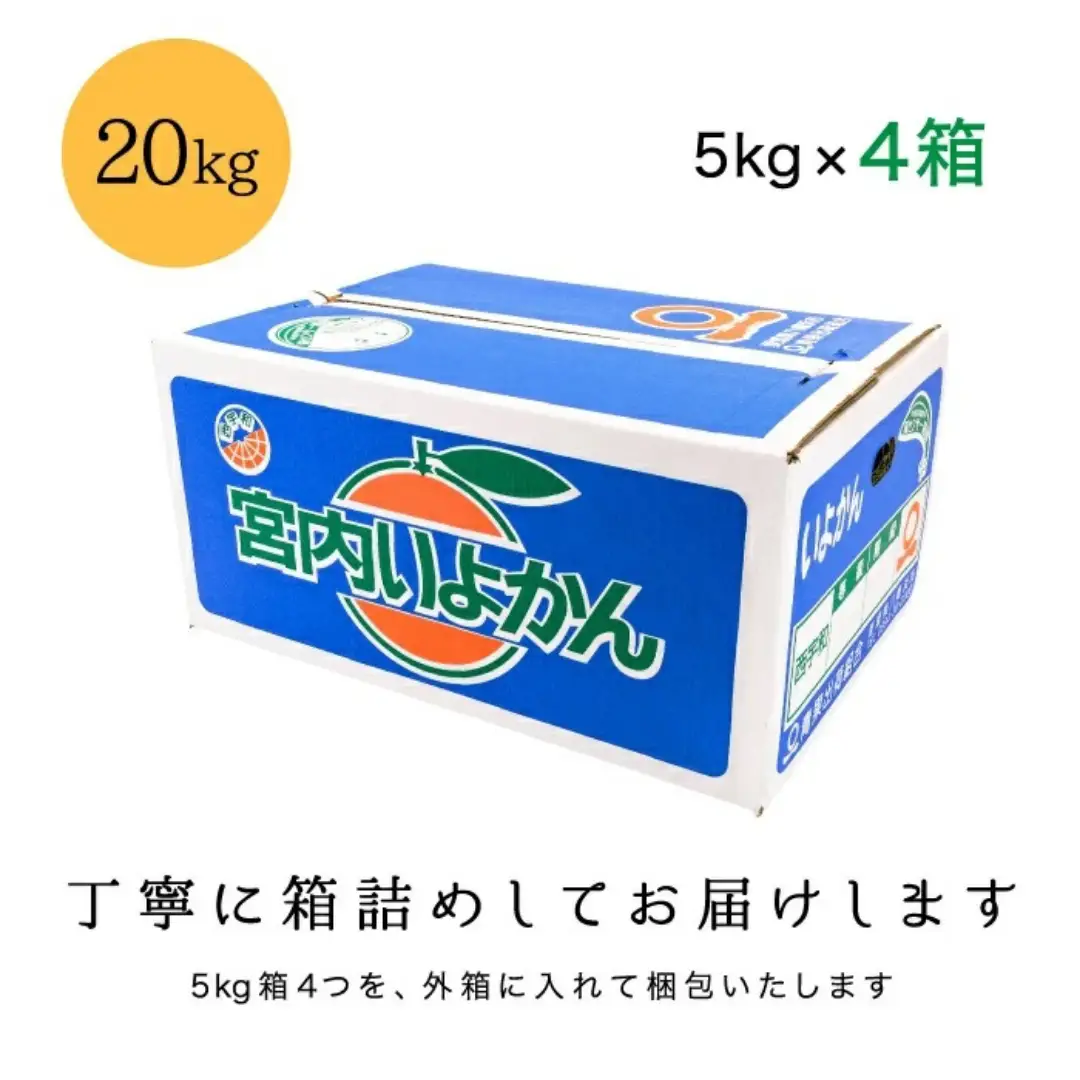 【爽やか香りと柔らかジューシーな果肉】愛媛八幡浜産 宮内伊予柑 20kg【H20-95】【1625452】 YWTI090