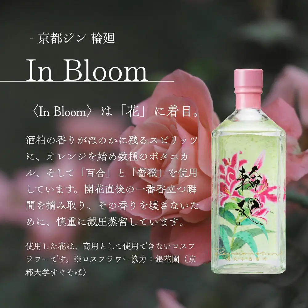 【松井酒造】京都ジン 輪廻 飲み比べセット 300ml×3本｜クラフトジン 人気シリーズ 大文字蒸溜所