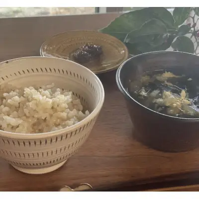 【特別栽培米】【農家直送】令和7年産 玄米 計10kg (2kg×5袋) 夢つくし/元気つくし【 玄米 お米 米 ご飯 ごはん ブランド 元気つくし 夢つくし 小分け 福岡県 筑前町 】