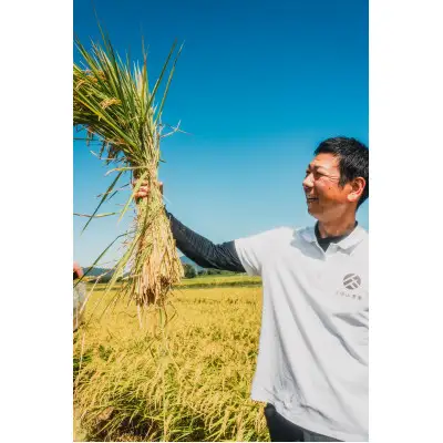 【特別栽培米】令和7年産【無洗米】計9kg(3kg×3袋)精米したてを農家直送でお届け!【無洗米 お米 米 ご飯 ごはん ブランド 元気つくし 夢つくし 小分け 福岡県 筑前町】