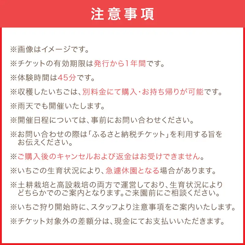 【見つけて、摘んで、食べて！】希少いちご「ほしうらら」を摘みに行こう いちご狩り 体験チケット（大人2名・小人2名）【121D-002】