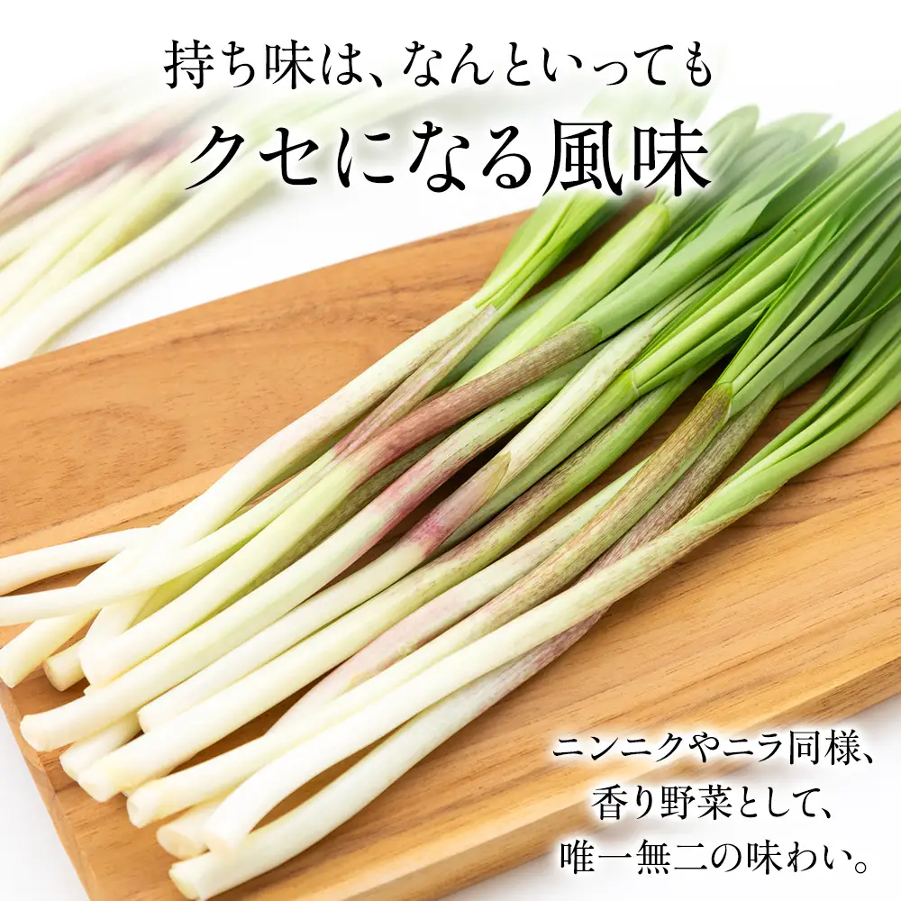 【2027年発送予約】天然行者にんにく 1kg