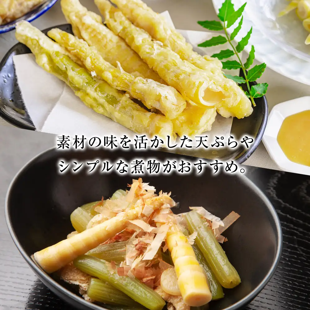 2027年発送予約】天然 根曲がり竹 1kg 根曲竹 ネマガリタケ 姫竹 笹竹