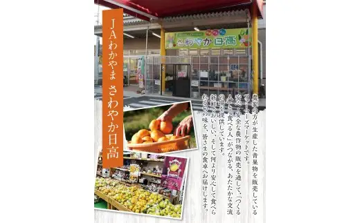 【糖度12度以上！】温州みかん「ゆらっ子」5kg ※2026年12月上旬～12月下旬頃に順次発送予定(お届け日指定不可) / 温州 密柑 JA 糖度 甘い 光センサー ゆらみかん 由良町 ミカン ブランド認定 柑橘 期間限定 和歌山県産【jahd004-r-5】