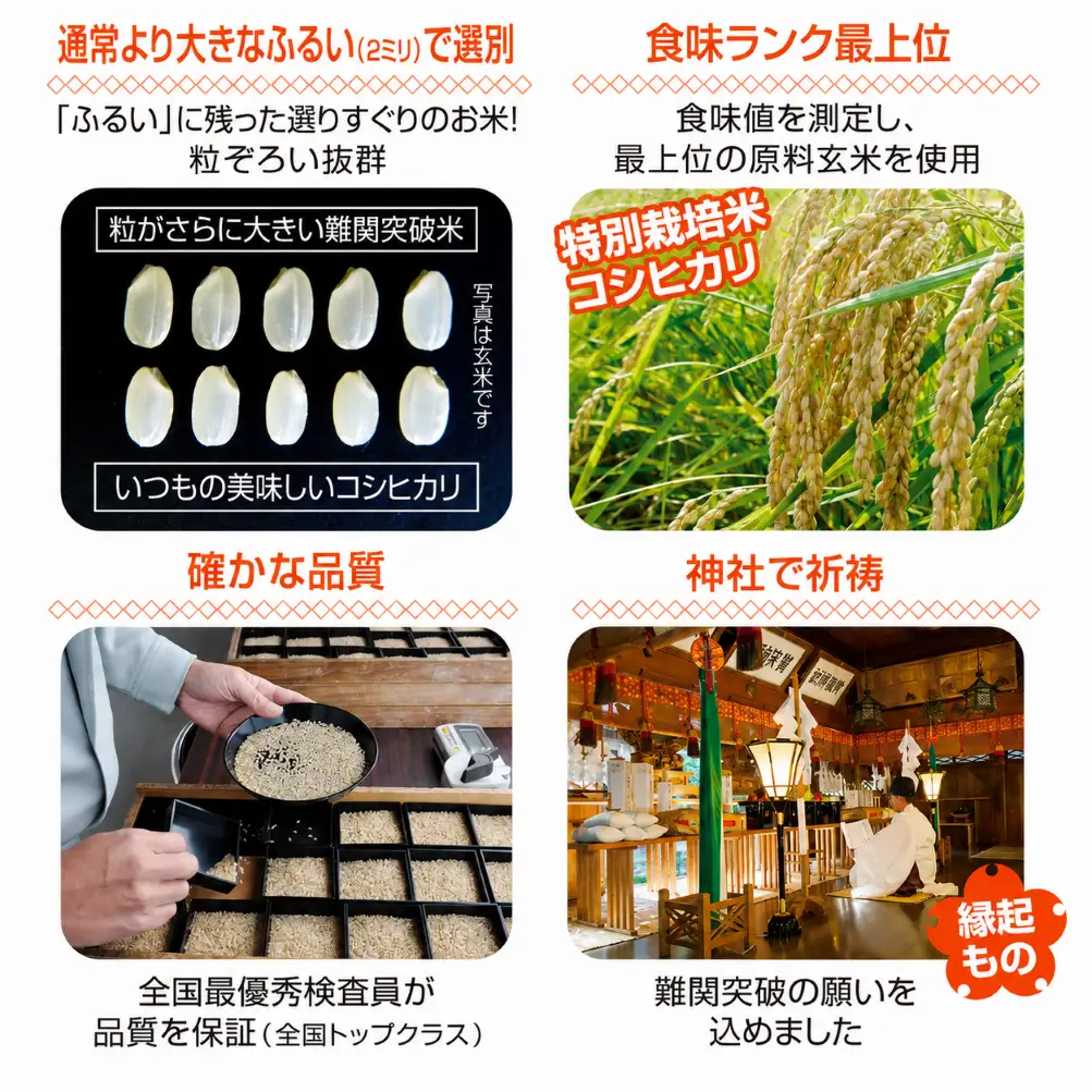 令和7年産新潟県産コシヒカリ 難関突破米 精米5kg なんかん米