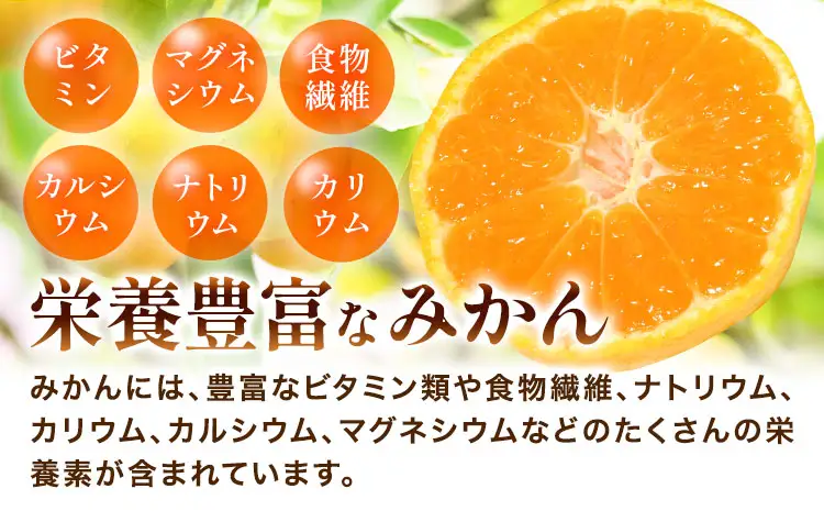 みかん 極早生みかん YN26 約5kg